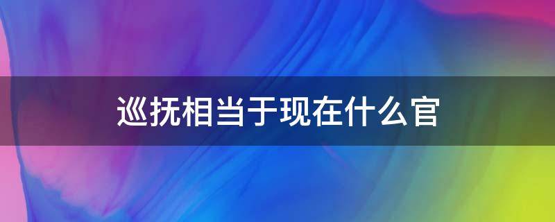 巡抚相当于现在什么官（巡抚相当于现在什么官职）