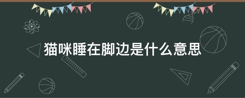 猫咪睡在脚边是什么意思（猫咪睡在主人脚边是什么意思）