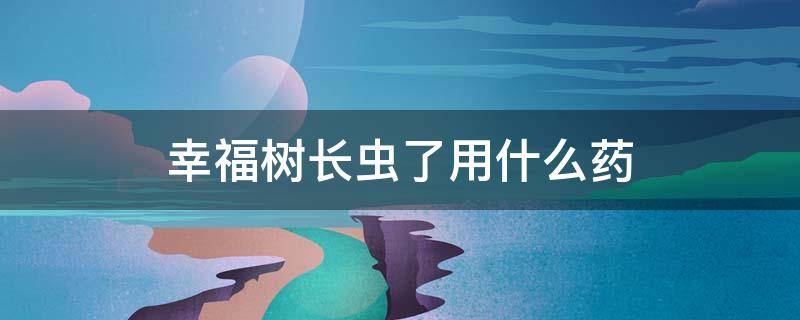 幸福树长虫了用什么药 幸福树长虫了怎么治