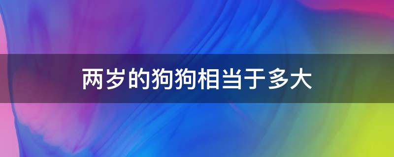 两岁的狗狗相当于多大（2岁半的狗狗是多大）