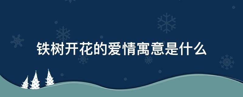 铁树开花的爱情寓意是什么 铁树开花比喻爱情