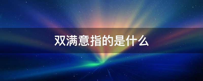 双满意指的是什么（两满意是指）