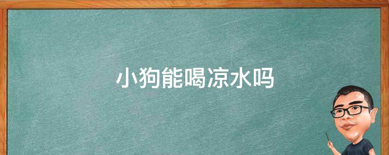 小狗能喝凉水吗 狗狗生完小狗能喝凉水吗