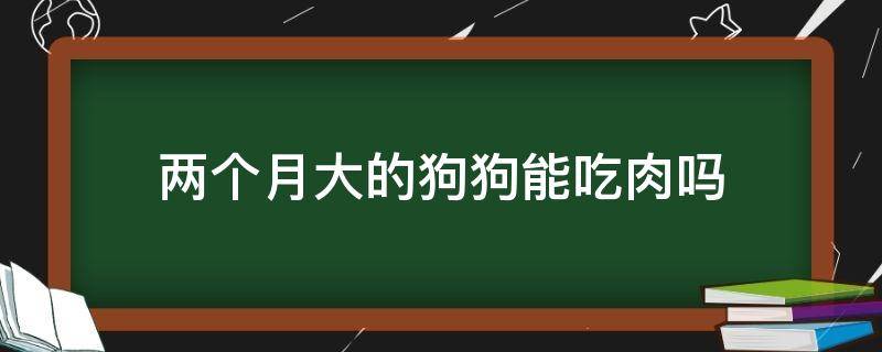 两个月大的狗狗能吃肉吗（狗狗两个多月可以吃肉吗）