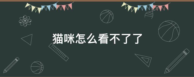 猫咪怎么看不了了 猫咪看不了是怎么回事