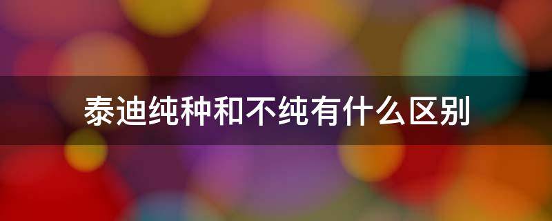 泰迪纯种和不纯有什么区别（不纯种的泰迪和纯种泰迪的区别）