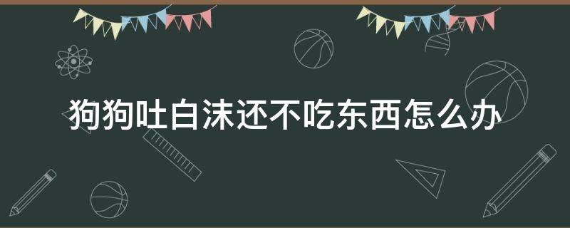 狗狗吐白沫还不吃东西怎么办 小狗狗吐白沫怎么办不吃东西