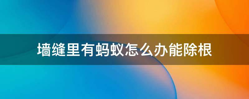 墙缝里有蚂蚁怎么办能除根 墙缝蚂蚁怎么去除