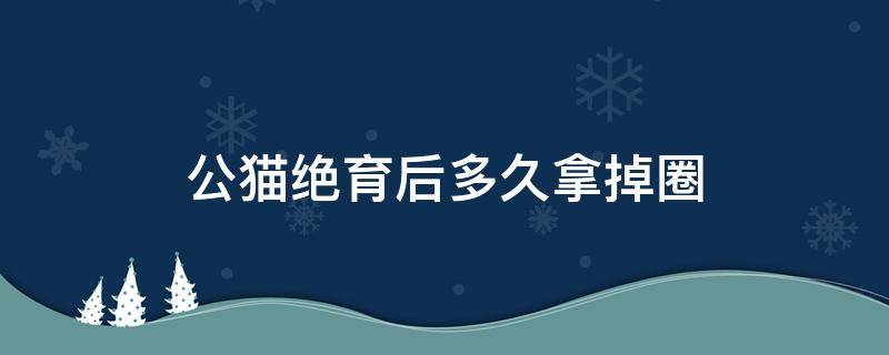 公猫绝育后多久拿掉圈 公猫绝育后多久取圈