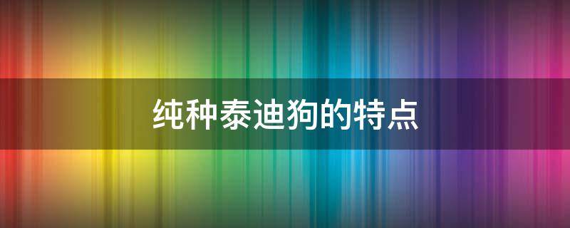 纯种泰迪狗的特点 纯种泰迪犬是什么样的