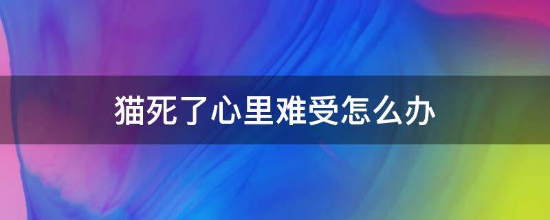 猫死了心里难受怎么办 猫死了心里好难受