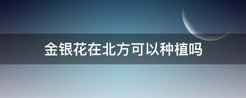 金银花在北方可以种植吗 金银花适合北方生长吗