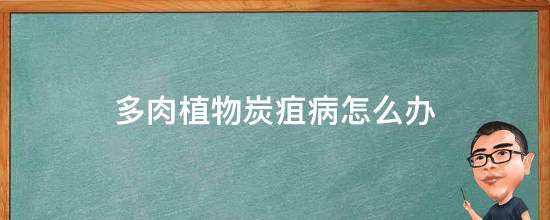 多肉植物炭疽病怎么办（多肉得炭疽病咋办）