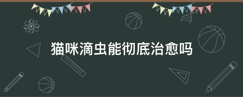 猫咪滴虫能彻底治愈吗 猫咪滴虫是什么原因引起的,能治好吗