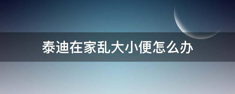 泰迪在家乱大小便怎么办（泰迪家里乱大小便怎么办）