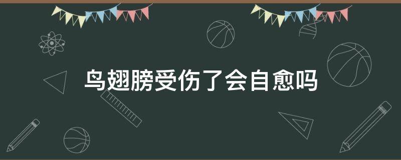 鸟翅膀受伤了会自愈吗（鸟的翅膀受伤了多长时间能恢复）