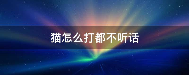 猫怎么打都不听话 猫咪不听话打了更不听话怎么办