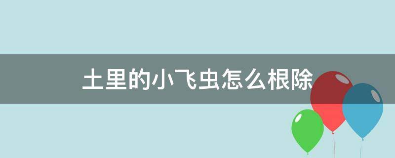 土里的小飞虫怎么根除（花土里的小飞虫怎么根除）