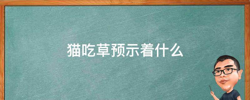 猫吃草预示着什么 猫吃草预示着什么现象