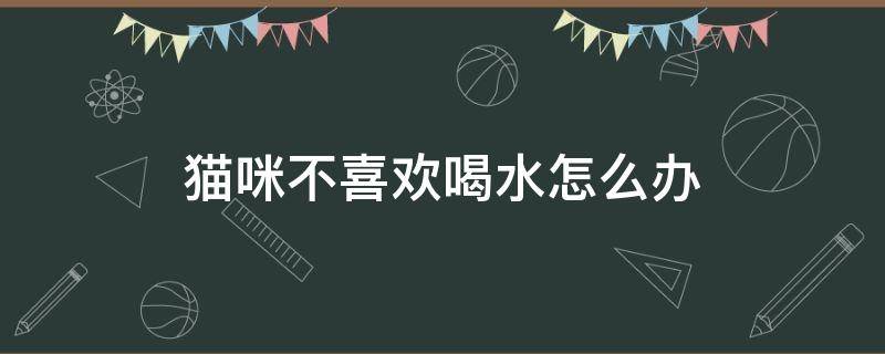 猫咪不喜欢喝水怎么办 猫咪不太喜欢喝水怎么办