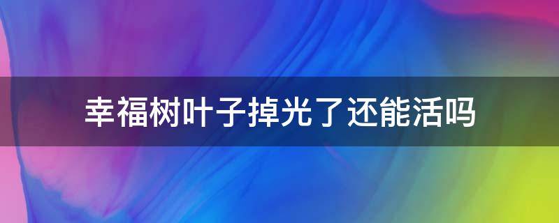 幸福树叶子掉光了还能活吗（幸福树叶子掉光了还会长出来吗）