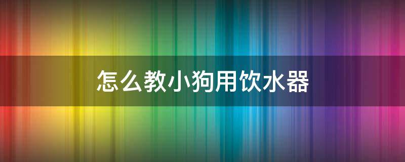 怎么教小狗用饮水器 狗狗饮水机怎么用