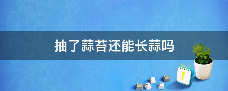 抽了蒜苔还能长蒜吗 大蒜不抽苔会长蒜吗