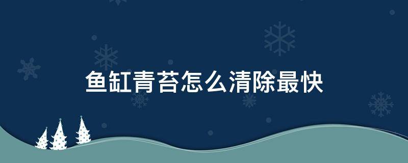 鱼缸青苔怎么清除最快（鱼缸青苔如何清理）