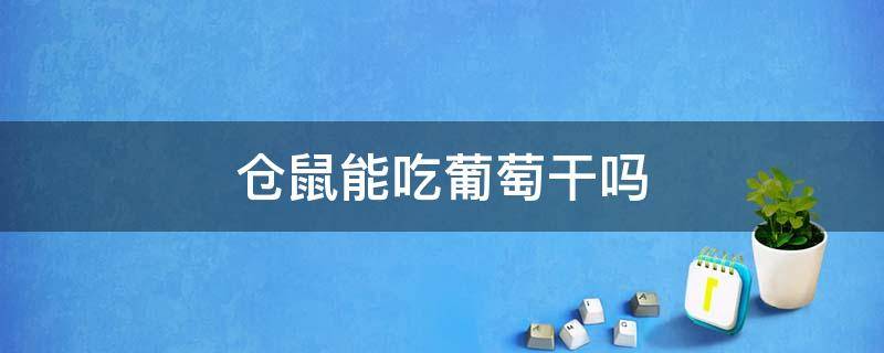 仓鼠能吃葡萄干吗 仓鼠能吃葡萄干吗 百度网盘