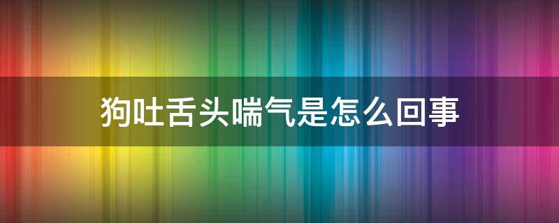 狗吐舌头喘气是怎么回事 狗狗突然吐舌头喘气是什么意思