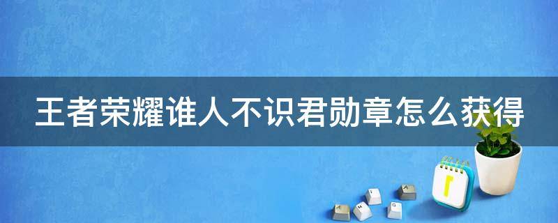 王者荣耀谁人不识君勋章怎么获得 王者荣耀谁人不识君有什么用