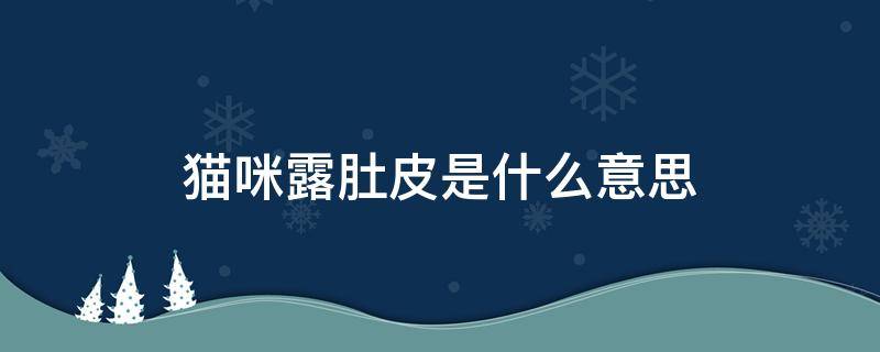 猫咪露肚皮是什么意思 猫露肚皮是什么表现