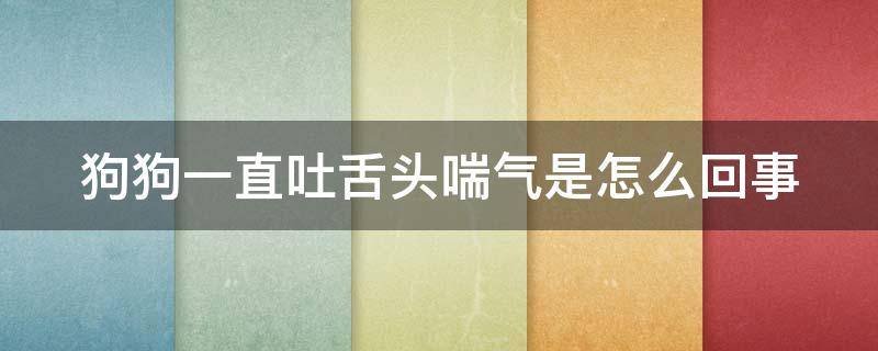 狗狗一直吐舌头喘气是怎么回事 狗狗一直吐舌头喘气是怎么回事前脚走不动