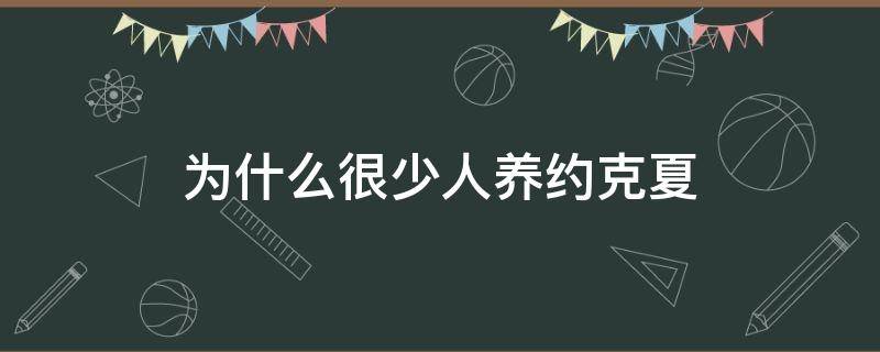 为什么很少人养约克夏 为什么很少有人养约克夏