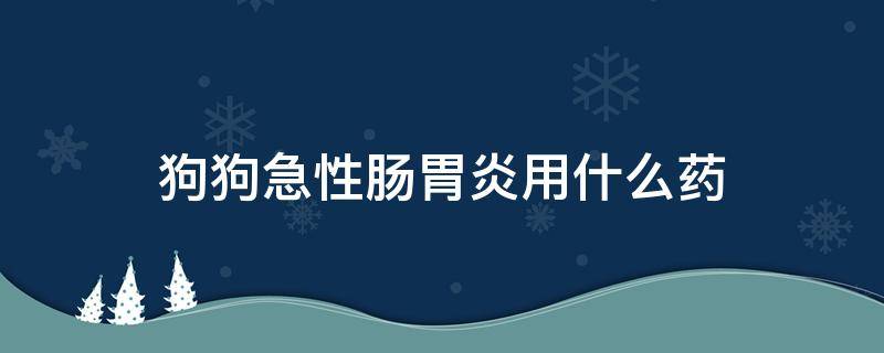 狗狗急性肠胃炎用什么药（狗狗急性肠胃炎用什么药治疗）