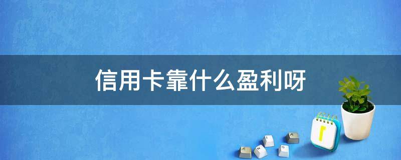 信用卡靠什么盈利呀 信用卡 怎么盈利