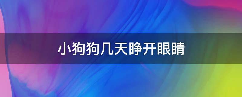 小狗狗几天睁开眼睛 小狗狗几天睁开眼睛时间