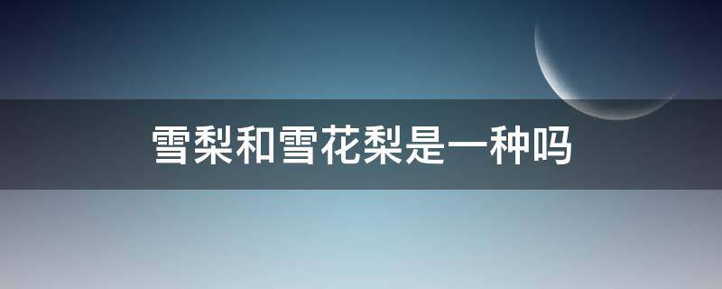 雪梨和雪花梨是一种吗（雪花梨和雪梨有什么区别）