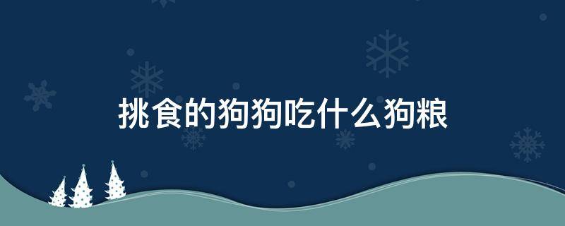 挑食的狗狗吃什么狗粮（挑食的狗狗吃什么狗粮比较好）