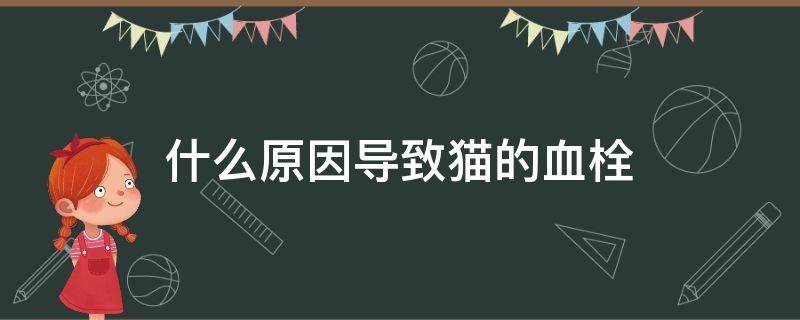 什么原因导致猫的血栓 猫血栓是怎么形成的