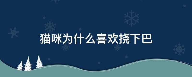 猫咪为什么喜欢挠下巴 猫咪不喜欢挠下巴