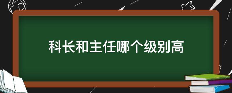 科长和主任哪个级别高（学校里科长和主任哪个级别高）