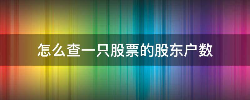 怎么查一只股票的股东户数（怎么看一只股票的股东户数）