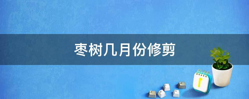 枣树几月份修剪 枣树几月份修剪最好