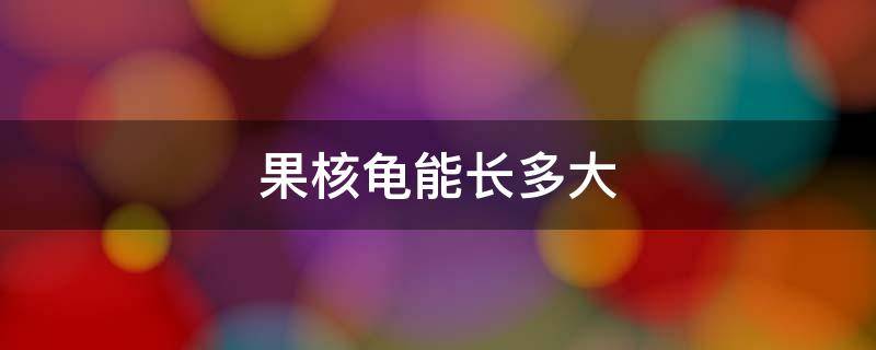 果核龟能长多大（果核龟长大是什么样子的）