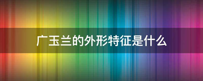 广玉兰的外形特征是什么 广玉兰的形态特征及园林用途