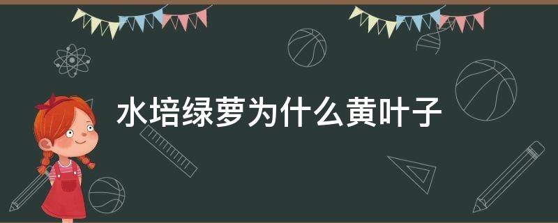 水培绿萝为什么黄叶子（水培绿萝为什么会黄叶）