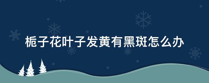 栀子花叶子发黄有黑斑怎么办 栀子花叶子发黄有黑斑是什么原因