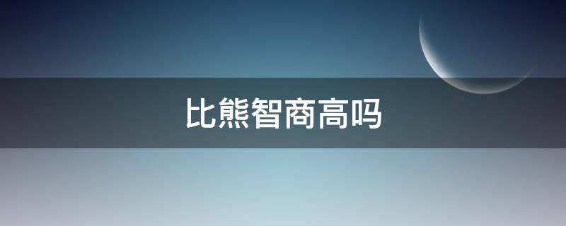 比熊智商高吗 飞耳比熊智商高吗