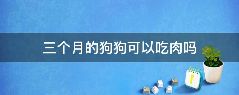 三个月的狗狗可以吃肉吗（3个多月的狗狗可以吃肉吗）